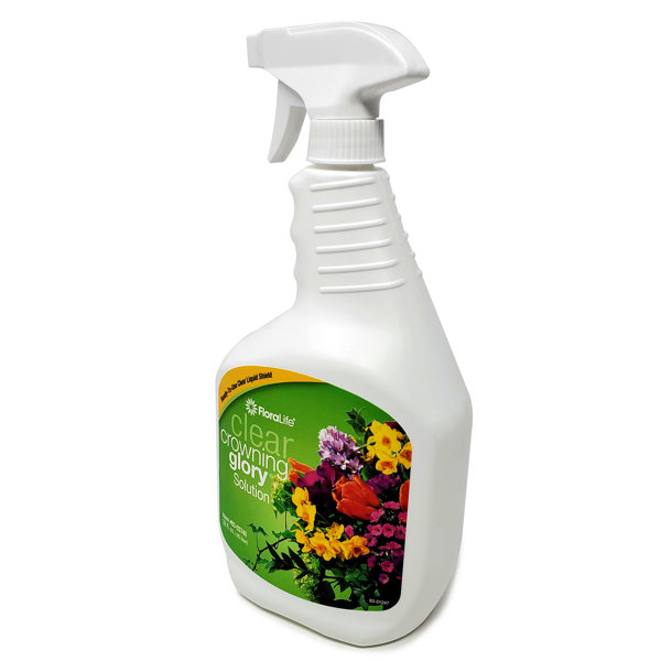 Floralife Clear Crowning Glory Flower Spray Wayfair Canada